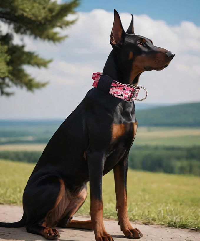 Dog Collar for Large Dogs, with Handle 2" Wide Heavy Duty, Blush-M | 1/3in Thick Military Nylon and Neoprene Padded plus Stainless Steel Pin Buckle,for Strong and Garint Breeds,Neck Protector