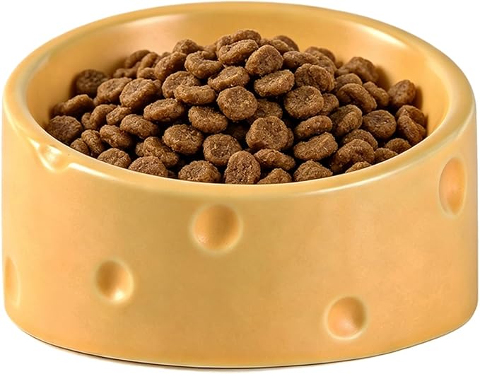 Cat Food Bowl with Food Mat, Ceramic Raised and Tilted Water Bowl, Anti Vomiting and Protection, Cat or Small Dog Feeding Station, Dishwasher and Microwave Safe