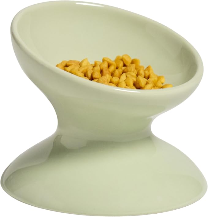 Raised Cat Food Bowl, Tilted Bowl for Cats, Dogs, 12 oz, Seafoam