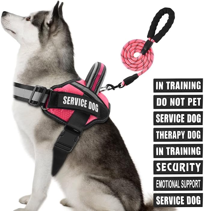 Service Dog Vest Harness and Leash Set, Animire in Training Dog Harness with 10 Dog Patches, Reflective Dog Leash with Soft Padded Handle for Small, Medium, Large, and Extra-Large Dogs (Rosy,XL)