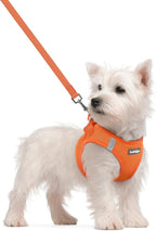 rabbitgoo Dog Harness Small Sized and Leash Set, Step-in Puppy Pet Vest | Light, Soft, Breathable Air Mesh, Easy on and Remove with Hook & Loop, Secure Reflective for Walking, Orange S