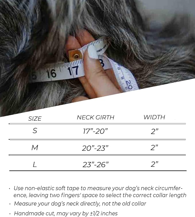 Dog Collar for Large Dogs,2 in Wide Heavy Duty,Pressure-Relief Padded, D-M | Professional Protection for Large and Giant Breeds,Handle for Control,Stainless Steel Buckle Ultra Safety,20-23 in