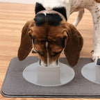 Ear Clear Dog Bowl and Mat Set, No Spill Food and Water Bowls with Mat, Perfect Feeding Tray Set for Long Eared Dog or Breeds, No Mess Dog Bowl 36 oz Feeder Bowl Set, Hounds, Cocker Spaniels, Setters