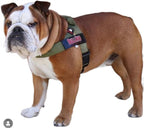 BULLHUG Adjustable Dog Harness– No Pull, No Choke – for English Bulldogs, French Bulldogs, Pugs & Broad-Chested Breeds – Easy, Safe Walks (Olive Green, Medium)