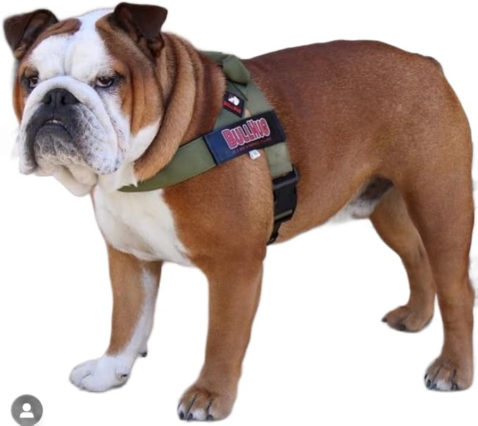 BULLHUG Adjustable Dog Harness– No Pull, No Choke – for English Bulldogs, French Bulldogs, Pugs & Broad-Chested Breeds – Easy, Safe Walks (Olive Green, Medium)