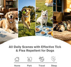 Natural Flea and Tick Pendant for Dogs with 2 Silicone Buckles 4 Refills, Water Resistant Dog Flea and Tick Collar Repellent Accessory for Indoor Outdoor Flea and Tick Prevention, COLLAR NOT INCLUDED