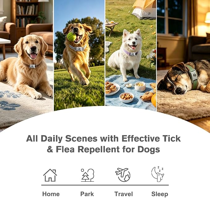 Natural Flea and Tick Pendant for Dogs with 2 Silicone Buckles 4 Refills, Water Resistant Dog Flea and Tick Collar Repellent Accessory for Indoor Outdoor Flea and Tick Prevention, COLLAR NOT INCLUDED