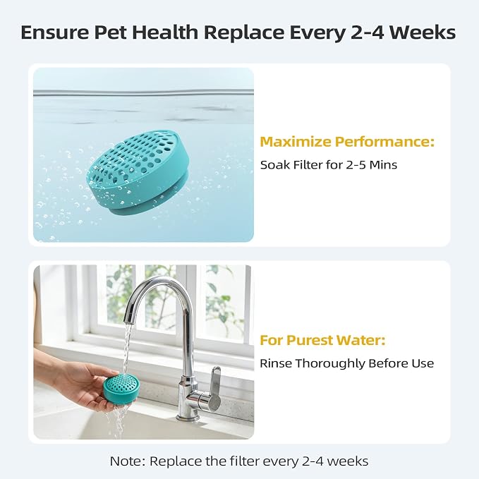 Glass Cat and Dog Water Fountain 90oz/2.7L, Compatible with Replacement Filters 8 Pcs (with 4 Sponges)