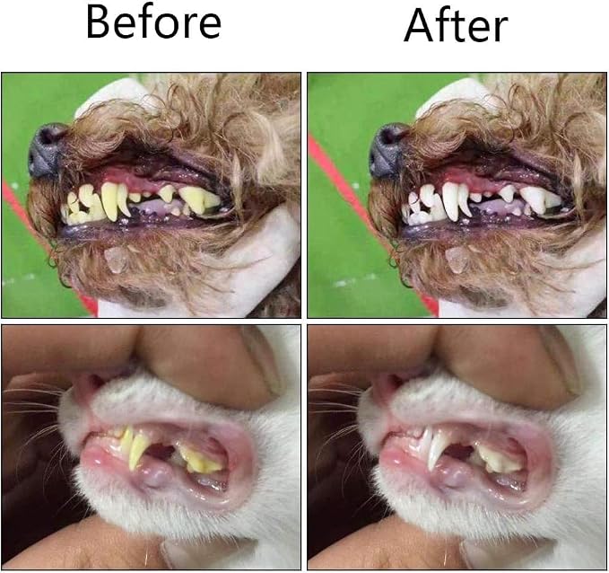 Orgrimmar 8 Pcs 3-Sided Pet Toothbrush Dog Cat Mouth Dental Teeth Care | Pet Brush for Bad Breath Tartar Cleaning