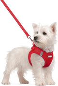 rabbitgoo Dog Harness Small Sized and Leash Set, Step-in Puppy Pet Vest | Light, Soft, Breathable Air Mesh, Easy on and Remove with Hook & Loop, Secure Reflective for Walking, Red S
