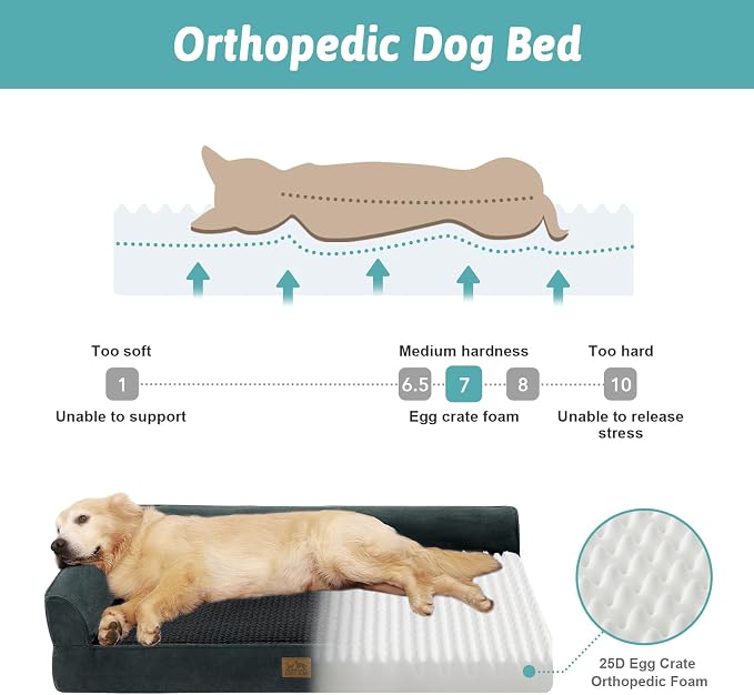 COZY KISS Orthopedic Dog Bed for Extra Large, XXL Dogs Bed, L Shaped Foam Anti-Slip Bottom Giant Pet Cat Sofa with Washable Cover, Suitable for Pet Up to 150 lbs, 48x35x8 inch, Black ﻿