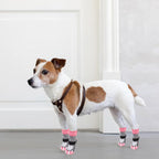 PUPTECK Anti-Slip Dog Socks with Double Sides Grips for Small Medium Large Dogs Hardwood Floors Prevents Licking, Dog Shoes for Hot Pavement Traction Control for Senior Dogs, Grey&Pink XL