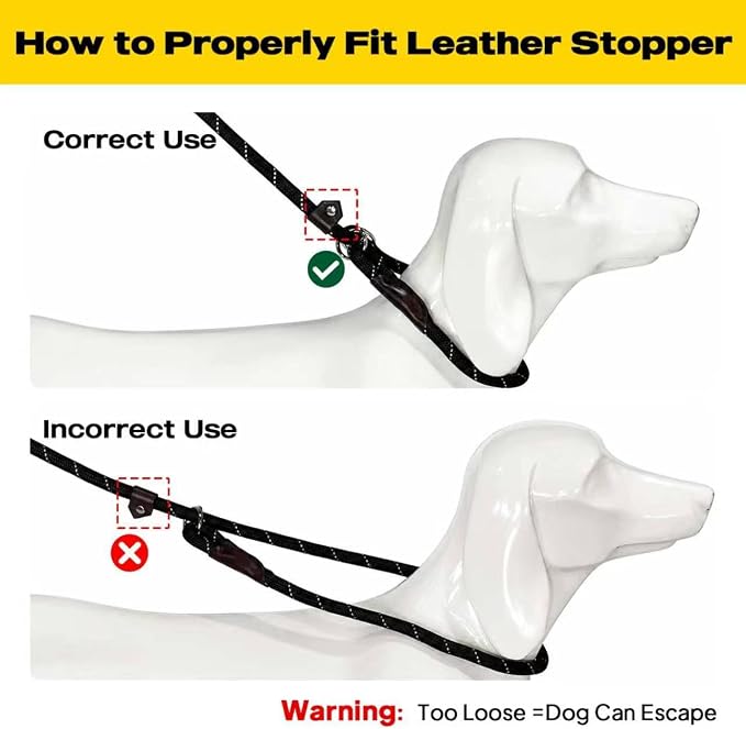 Fida Durable Slip Lead Dog Leash Bulk Pack of 5, Heavy Duty 1/2" x 6 FT Comfortable Strong Rope Slip Lead for Large, Medium & Small Dogs No Pulling Pet Training Leash with Highly Reflective (Black)