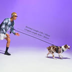 Wild One Hands-Free Adjustable Rope Dog Leash, Standard: 4' to 8.5' Long, .5" Wide, Adjustable for Crossbody, Waist & Handheld, Spruce