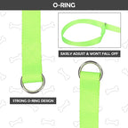 HOMIMP Slip Lead Dog Leash 6 FT- 12 PCS Bulk Colors Kennel Control Leashes for Small Medium Large Dogs Puppy Animal Rescue, Grooming - Heavy Duty Strong Nylon 6 Foot Long for Shelter, Vet, Training