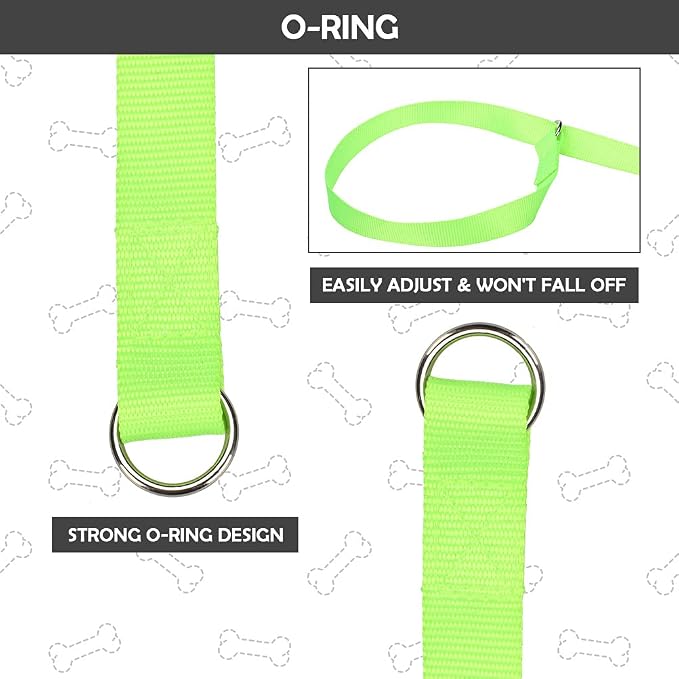 HOMIMP Slip Lead Dog Leash 6 FT- 12 PCS Bulk Colors Kennel Control Leashes for Small Medium Large Dogs Puppy Animal Rescue, Grooming - Heavy Duty Strong Nylon 6 Foot Long for Shelter, Vet, Training