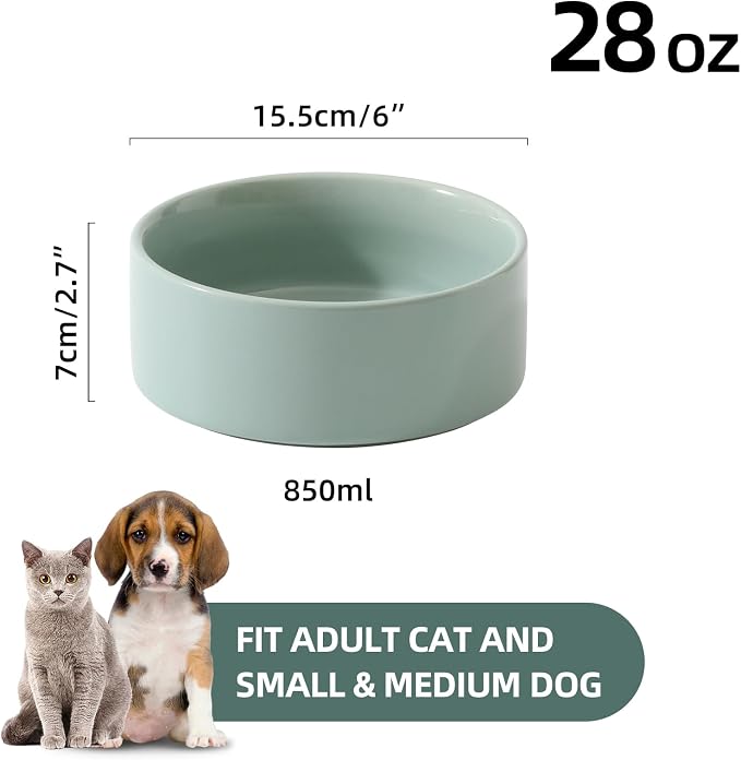 Havniva Cat Bowls Set of Two, 6.1” Ceramic Cat Food and Water Bowls | Cat Food Bowls Whisker Friendly, Non-Slip Base, Food-Grade Ceramic, Wide Opening, Dishwasher Safe, Cat Bowls for Indoor Cats