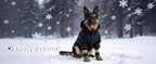 Dog Shoes for Hot Pavement - Comfortable Paw Protection for Medium & Large Dogs, Adjustable Strap & Non-Slip, Easy-Clean, Outdoor Sports Boots, Dog Booties for Summer Rain (Green, XL)