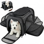 Soft Sided Pet Carrier for Small Dogs & Cats (Up to 9 lbs) – Airline Approved Underseat Travel Bag with Breathable Mesh, Luggage Strap & Washable Mat – Compact & Lightweight, Grey