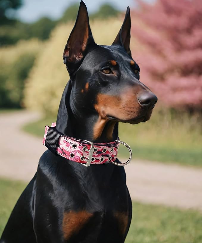 Dog Collar for Large Dogs, with Handle 2" Wide Heavy Duty, Blush-M | 1/3in Thick Military Nylon and Neoprene Padded plus Stainless Steel Pin Buckle,for Strong and Garint Breeds,Neck Protector