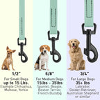 Dogline Biothane Waterproof Dog Leash Strong Coated Nylon Webbing with Black Hardware Odor-Proof Easy to Clean High Performance for Small or Large Dogs Made in USA 4 or 6 ft Lead, Sage Green