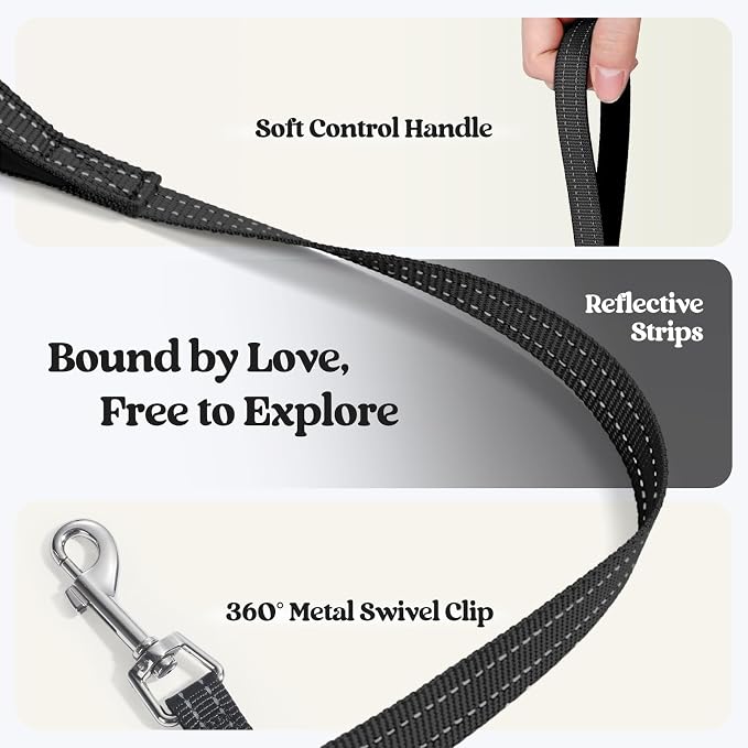 rabbitgoo Dog Harness Medium Sized and Leash Set, Step-in Puppy Pet Vest | Light, Soft, Breathable Air Mesh, Easy on and Remove with Hook & Loop, Secure Reflective for Walking, Black Zigzag L