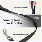 rabbitgoo Dog Harness Small Sized and Leash Set, Step-in Puppy Pet Vest | Light, Soft, Breathable Air Mesh, Easy on and Remove with Hook & Loop, Secure Reflective for Walking, Black Zigzag M