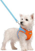 rabbitgoo Dog Harness Small Sized and Leash Set, Step-in Puppy Pet Vest | Light, Soft, Breathable Air Mesh, Easy on and Remove with Hook & Loop, Secure Reflective for Walking, Blue & Orange S