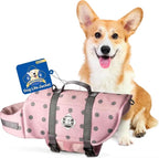 Dog Life Jacket — Premium Swim Vest with SafeChin Anti-Choke Collar | PAWS Aboard Pink | RapidLift Rescue Handle, D-Ring, Reflective Trim | Boating, Kayaking, Pool | Small (15–25 lbs)