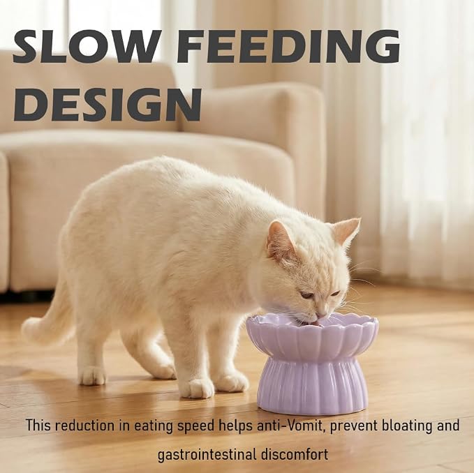Ceramic Cat Slow Feeder, Raised Slow Feeder Cat Bowl, Anti Vomiting and Whisker Friendly Kitty Dish, Elevated Puppy Kitten Food Bowl for Dry and Wet Food (Purple)