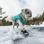 Ruffwear, Summit Trex Dog Shoes, All-Season Paw Protection with Durable Non-Slip Grip & Stay-Put Fit for Everyday Adventures, Obsidian Black, 1.75"
