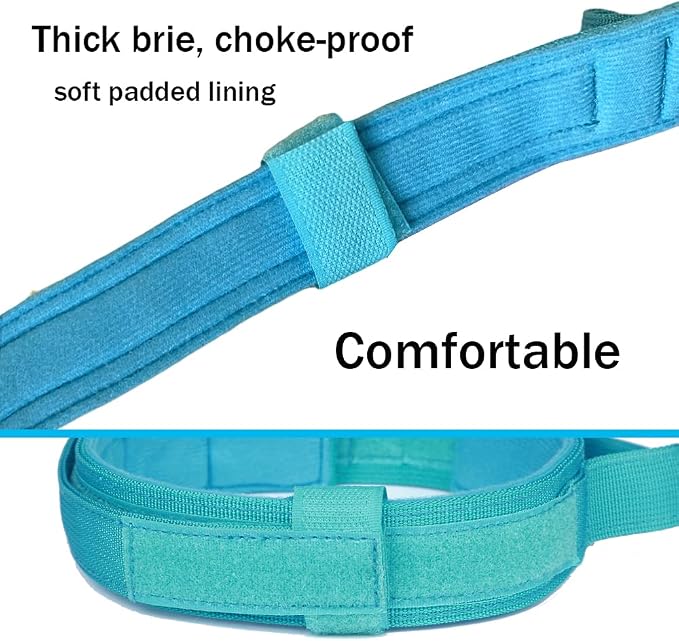 Tactical Dog Collar for Large Dogs with Control Handle,Blue,XL | 1000D Heavy-Duty Nylon Fabric,Quick-Release Metal Buckle,Adjustable Fit,Soft-Padded Webbing,D-Ring,for Training & Hiking