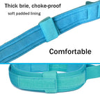 Tactical Dog Collar for Large Dogs with Control Handle,Blue,S | 1000D Heavy-Duty Nylon Fabric,Quick-Release Metal Buckle,Adjustable Fit,Soft-Padded Webbing,D-Ring,for Training & Hiking