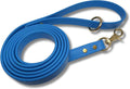 Gummy K9 Dog Leash, Biothane, Dog Training Leash, Made in The USA, 6 Feet, Various Sizes & Colors (3/4, Light Blue)