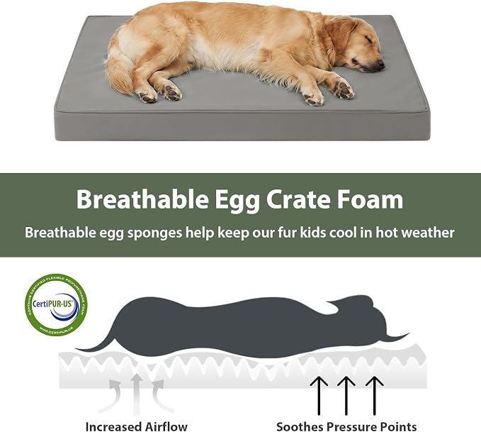 WNPETHOME Outdoor Waterproof Large Dog Bed