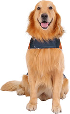 HDE Dog Puffer Jacket Fleece Lined Warm Dog Parka Winter Coat with Harness Hole Navy Retro Stripe - XL