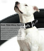 Dog Collar for Large Dogs,2 in Wide Heavy Duty,Pressure-Relief Padded, E-S | Professional Protection for Large and Giant Breeds,Handle for Control,Stainless Steel Buckle Ultra Safety,17-20 in