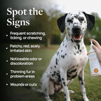 Veterinary Formula Clinical Care Antiseptic/Antifungal Spray, 8 oz, 2-Pack | Two 8 oz medicated sprays for dogs and cats with antiseptic and antifungal care for scaly, greasy, red or odor-prone skin