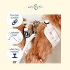 Lucy & Co. Ivory Corduroy Dog Leash, Durable Dog Lead with Heavy Duty Hardware, Large