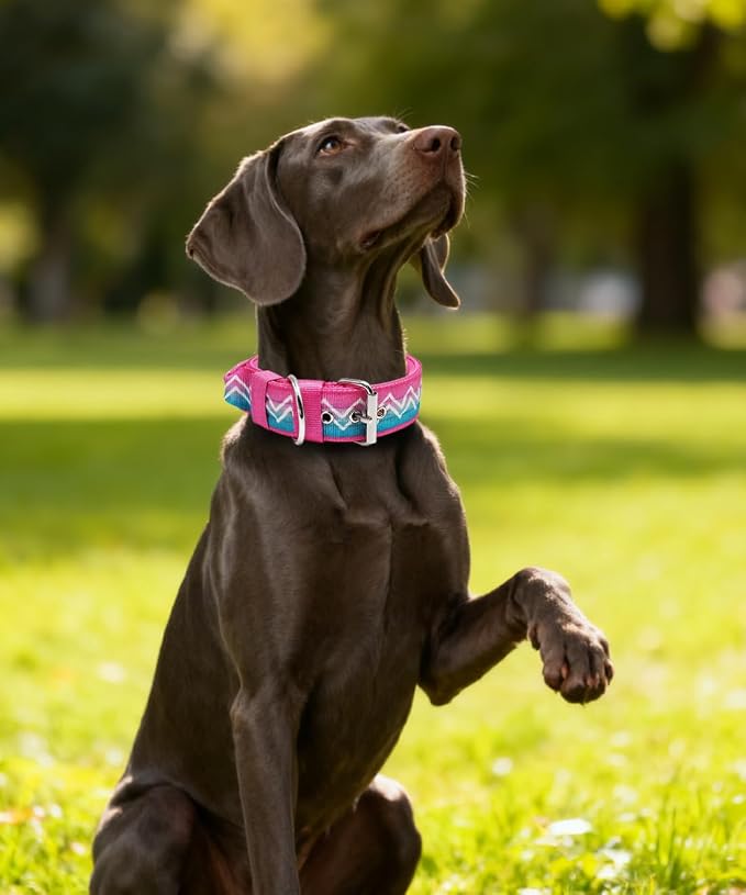 Dog Collar for Large Dogs,2 in Wide Heavy Duty,Pressure-Relief Padded, A-M | Professional Protection for Large and Giant Breeds,Handle for Control,Stainless Steel Buckle Ultra Safety,20-23 in