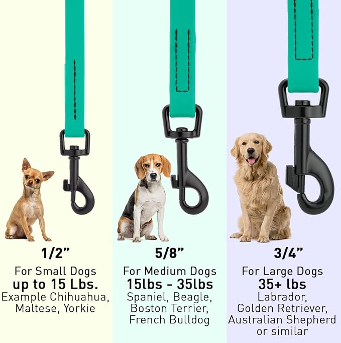 Dogline Biothane Waterproof Dog Leash Strong Coated Nylon Webbing with Black Hardware Odor-Proof Easy to Clean High Performance for Small or Large Dogs Made in USA 4 or 6 ft Lead, Teal