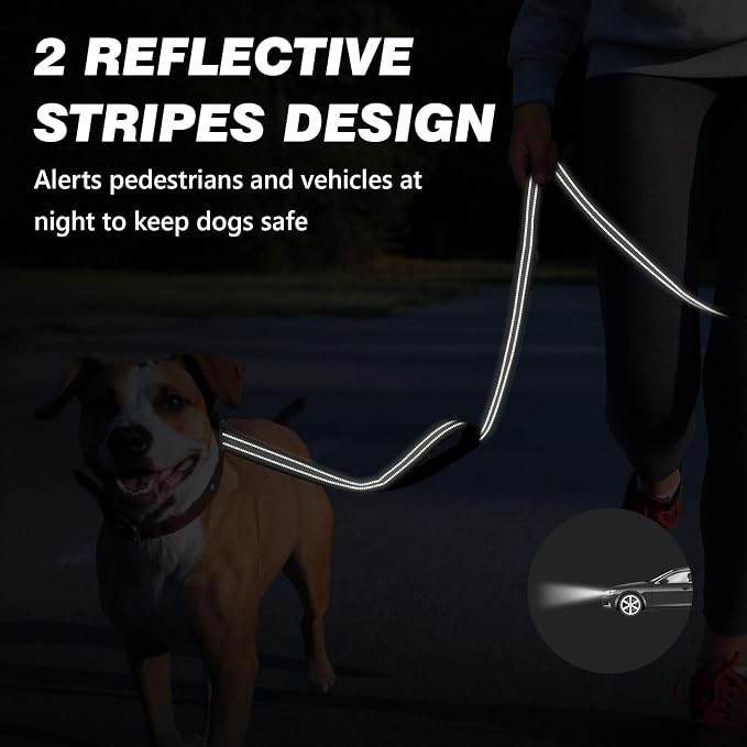 Double Handle Dog Leash with Poop Bag Holder and Car Seat Belt Buckle | Heavy Duty | Double Handle | with Poop Bag Holder | with Car Seat Belt Buckle | Reflective | Lightweight