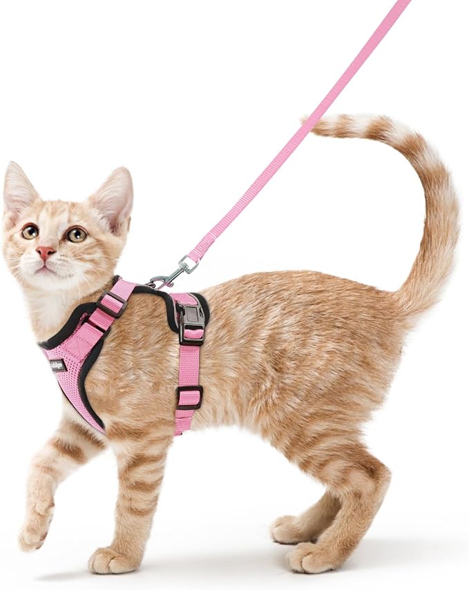 rabbitgoo Cat Harness and Leash Set, Escape Proof Vest, Pink | Soft Breathable Mesh, Easy Adjustable Fit, Snap Buckles, Sturdy Clip, Reflective Strips, for Small & Average Cats Walks, Xs