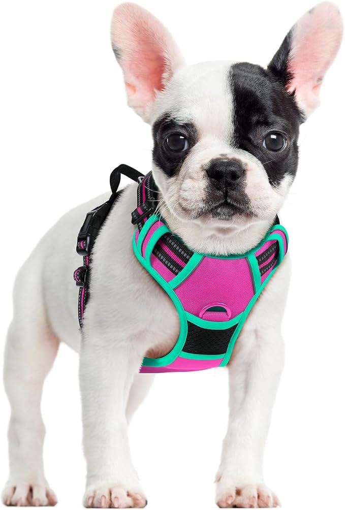 rabbitgoo Dog Harness, No Pull for Small Dogs with 2 Leash Clips, Pet Vest | No Choke with Handle, Adjustable Soft Padded, Reflective, Easy Control for Walking, Hot Pink & Turquoise, Small
