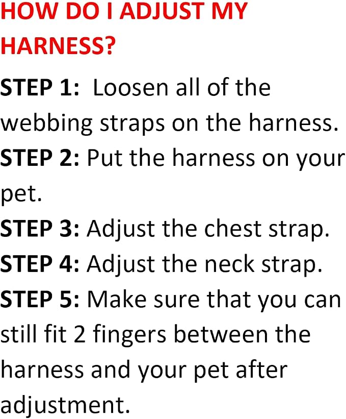 Best Pet Supplies Voyager Step-in Air All Weather Mesh Harness and Reflective Dog 5ft Leash Combo with Neoprene Handle, for Small, Medium and Large Breed Puppies - Blue, XXX-Small