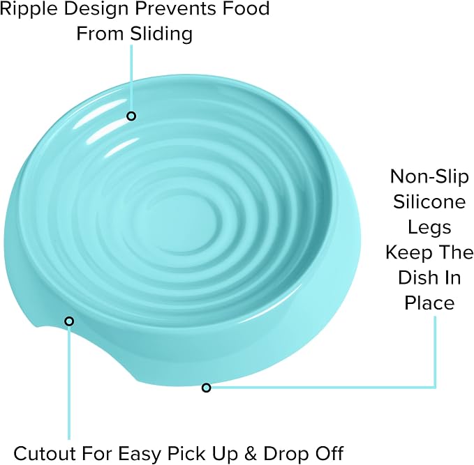 CatGuru Cat Bowls, Whisker Friendly Food Bowl for Indoor Cats, Reliefs Whisker Fatigue, Wide Kitten Dish, Non Slip Pet Dishes, Shallow Pet Plates (Aruba, (Pack of 2))