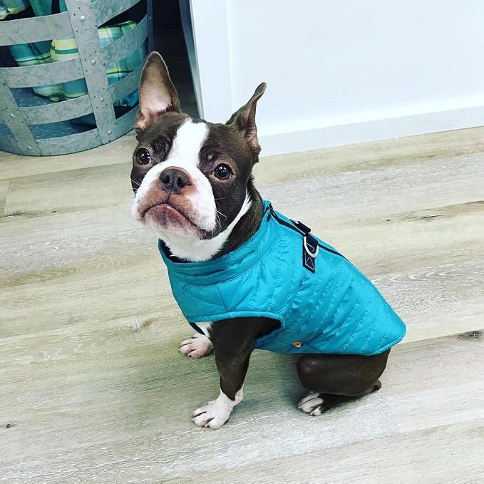 Gooby Puffer Vest - Turquoise, Small - Ultra Thin Zip Up Wind Breaker Leash - Water Resistant Dog Sweater Coat - Boy or Medium Dogs
