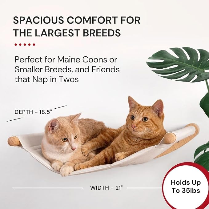 Cat Wall Hammock for Large Cats, Cat Wall Bed | A space-saving wall mounted cat bed with a washable, replaceable cushion that holds big cats up to 35 lbs