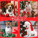 Kigeli 80 Pieces Christmas Dog Collar Flowers Bows Xmas Pet Charms,Santa - Image 7