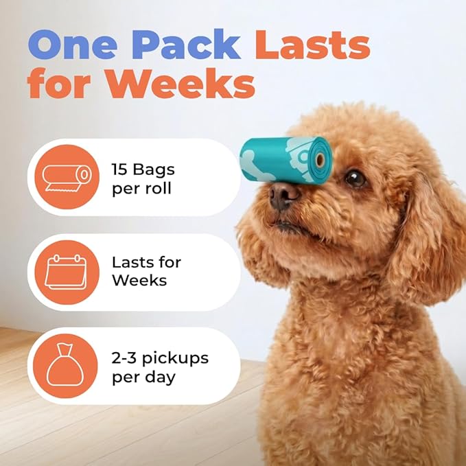 Best Pet Supplies Poop Bags for Dogs - Turquoise, 240 Count | Scented, Leak-proof, Easy-Tear perforations, 15 Thick Bags per roll, Outdoor Walking & Travel, Fits Standard Holders